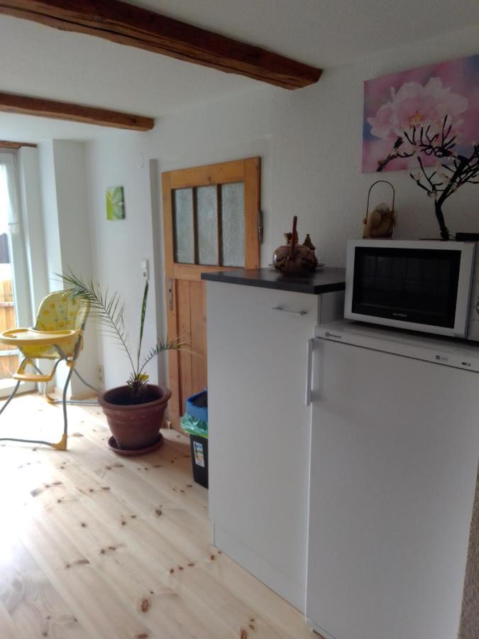 Ferienhaus Schock Thale Bagian luar foto
